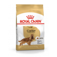 ROYAL CANIN Adult Cocker - suché krmivo pro psy - 12 kg