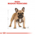 Royal Canin BHN French Bulldog Adult - suché krmivo pro psy - 9kg