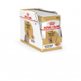 Royal Canin Yorkshire Terrier Dospělý jedinec 85 g