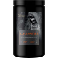 BIOFEED Horse&Pony Electrolytes - elektrolyty pro koně - 900g