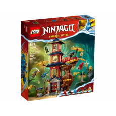 LEGO NINJAGO 71795 Chrám dračích energetických jader