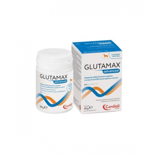 GlutaMax Advanced 12 x 10 tbl.