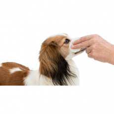 Očná starostlivosť - jednorazové ošetrujúce vankúšiky, 100ks Očná starostlivosť - jednorazové ošetrujúce vankúšiky, 100ks