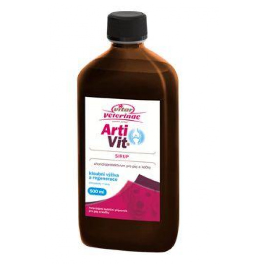 VITAR ArtiVit Sirup 500ml VITAR ArtiVit Sirup 500ml
