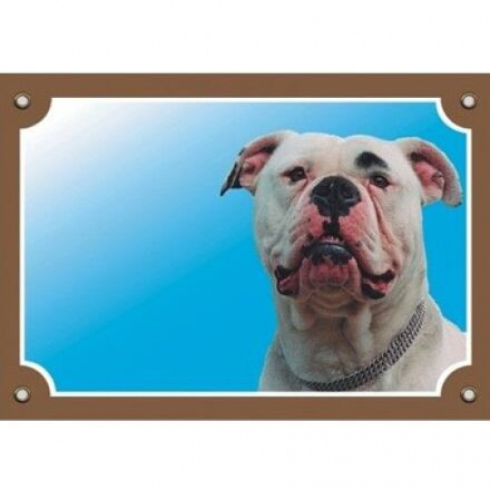 Farebná ceduľka Pozor pes, Americký buldog Farebná ceduľka Pozor pes, Americký buldog