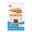 Iams Cat Kitten Ocean Fish 3kg
