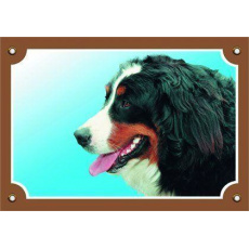 Farebná ceduľka Pozor pes, Bernský salašnícky pes Farebná ceduľka Pozor pes, Bernský salašnícky pes