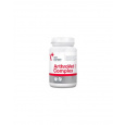 VetExpert ArthroVet HA Complex 90tbl