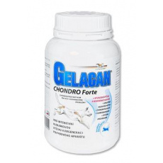 Gelacan Chondro Forte 150g Gelacan Chondro Forte 150g