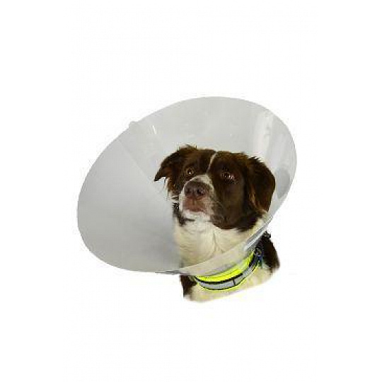 Ochranný golier BUSTER plastový Classic Collar sada 7ks