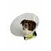 Ochranný golier BUSTER plastový Classic Collar sada 7ks