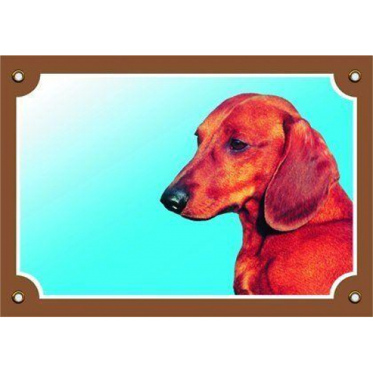 Farebná ceduľka Pozor pes, Jazvečík hladkosrstý