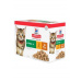 Hill's Fel. SP Kitten Chicken&Turkey kapsička 12x85g