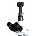Wifi Camera k mikroskopu CVET