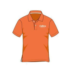 Calibra - oblečení - pánské Polo T-Shirt vel M