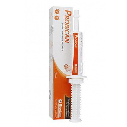 Probican pasta 15ml Probican pasta 15ml