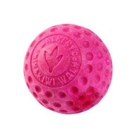 Hračka pes BALL MINI pláv. z TPR ružová Kiwi Hračka pes BALL MINI pláv. z TPR ružová Kiwi