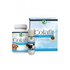 Colafit Max Forte - darčekový balíček malý Colafit Max Forte - darčekový balíček malý