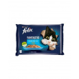 Nestlé FELIX Fantastic cat Multipack výber z rýb želé kapsička 4x85 g