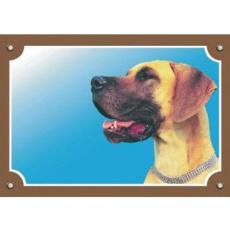 Barevná cedulka Pozor pes, Doga žlutá