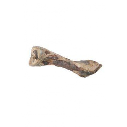 Pochúťka pes kosť od šunky 24cm Pochúťka pes kosť od šunky 24cm
