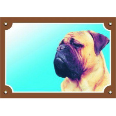 Farebná ceduľka Pozor pes, Bullmastif