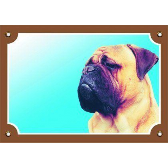 Farebná ceduľka Pozor pes, Bullmastif Farebná ceduľka Pozor pes, Bullmastif