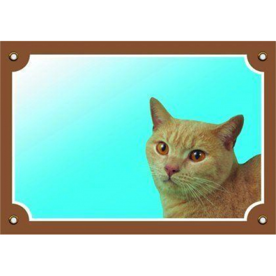 Farebná ceduľka Pozor pes, Mačka Farebná ceduľka Pozor pes, Mačka