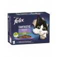 Nestlé FELIX Fantastic cat Multipack výber so zeleninou želé kapsička 12x85 g