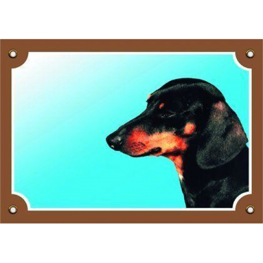 Farebná ceduľka Pozor pes, Jazvečík hladkosrstý čierny Farebná ceduľka Pozor pes, Jazvečík hladkosrstý čierny