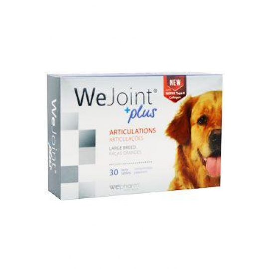 WeJoint Plus veľké plemeno 30tbl