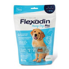 Flexadin Young Dog Maxi žuvacie 60tbl