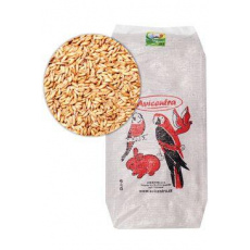 Avicentra ovos nahý 25kg