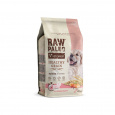 VET EXPERT Raw Paleo Healthy Grain Puppy Losos a ječmen - suché krmivo pro psy - 2 kg