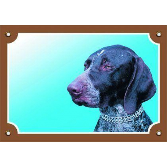 Farebná ceduľka Pozor pes, Nemecký krátkosrstý stavač Farebná ceduľka Pozor pes, Nemecký krátkosrstý stavač