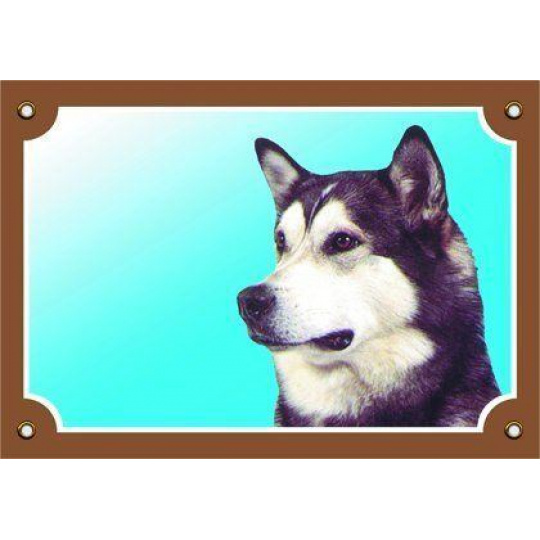 Farebná ceduľka Pozor pes, Malamut Farebná ceduľka Pozor pes, Malamut