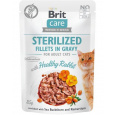 Brit Care cat kapsička Sterilized Fillets in Gravy with Healthy Rabbit 24 x 85 g