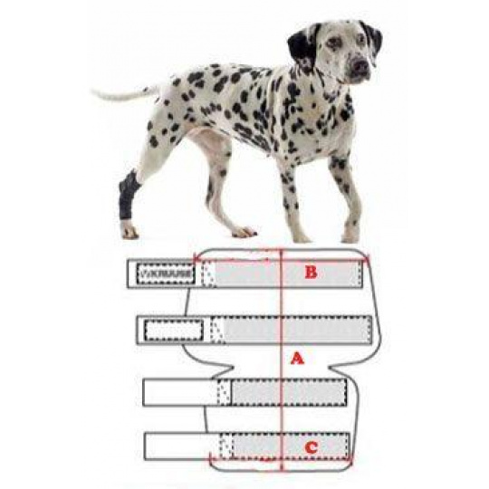 Bandáž Rehab na členok pre psa KRUUSE XXXS