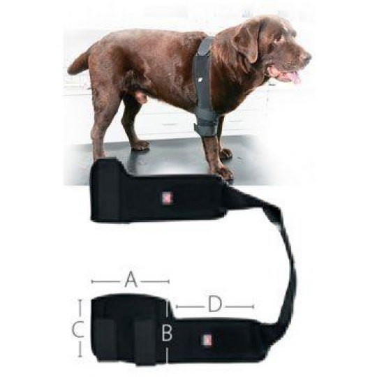 Bandáž Rehab Pro na lakeť pre psa KRUUSE XL pravá Bandáž Rehab Pro na lakeť pre psa KRUUSE XL pravá