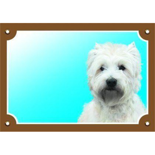 Farebná ceduľka Pozor pes, West highland white teriér