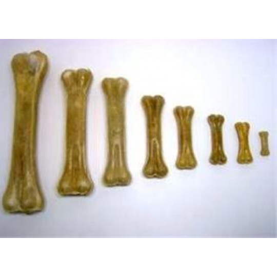 Pamlsok Salač Kosť prírodná 12-13 cm, 10 ks Pamlsok Salač Kosť prírodná 12-13 cm, 10 ks