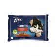 Nestlé FELIX Fantastic cat Multipack hovädzie&kuracie želé kapsička 4x85 g