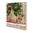 Adventný kalendár pre hlodavce 380g TR