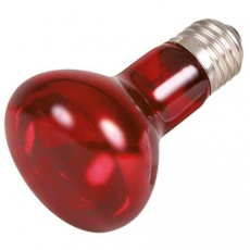 Infrared Heat Spot-Lamp red 50 W (RP 2,10 Kč)