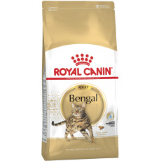 ROYAL CANIN FBN Bengal Adult - suché krmivo pro kočky - 10kg