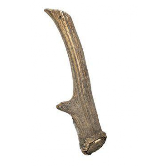 Pochúťka parožie Jeleň 230-320g Pochúťka parožie Jeleň 230-320g