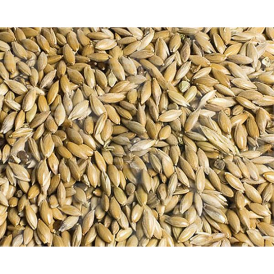 VL Holuby Lesknica kanárska 25 kg VL Holuby Lesknica kanárska 25 kg