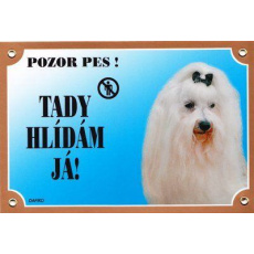 Farebná ceduľka Pozor pes, Maltézsky pinč
