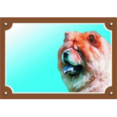 Farebná ceduľka Pozor pes, Čau čau