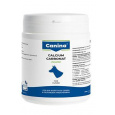 Canina Calcium Carbonat plv  400g
